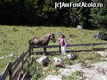 [P15] O pajiste din apropierea pensinuni.  » foto by yuly68*
 - 
<span class="allrVoted glyphicon glyphicon-heart hidden" id="av385848"></span>
<a class="m-l-10 hidden" id="sv385848" onclick="voting_Foto_DelVot(,385848,4320)" role="button">șterge vot <span class="glyphicon glyphicon-remove"></span></a>
<a id="v9385848" class=" c-red"  onclick="voting_Foto_SetVot(385848)" role="button"><span class="glyphicon glyphicon-heart-empty"></span> <b>LIKE</b> = Votează poza</a> <img class="hidden"  id="f385848W9" src="/imagini/loader.gif" border="0" /><span class="AjErrMes hidden" id="e385848ErM"></span>