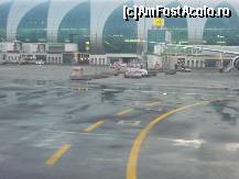 [P01] Aeroport Dubai » foto by david
 - 
<span class="allrVoted glyphicon glyphicon-heart hidden" id="av37030"></span>
<a class="m-l-10 hidden" id="sv37030" onclick="voting_Foto_DelVot(,37030,4325)" role="button">șterge vot <span class="glyphicon glyphicon-remove"></span></a>
<a id="v937030" class=" c-red"  onclick="voting_Foto_SetVot(37030)" role="button"><span class="glyphicon glyphicon-heart-empty"></span> <b>LIKE</b> = Votează poza</a> <img class="hidden"  id="f37030W9" src="/imagini/loader.gif" border="0" /><span class="AjErrMes hidden" id="e37030ErM"></span>