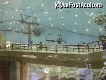 [P11] Pista de ski din Emirates Mall » foto by david
 - 
<span class="allrVoted glyphicon glyphicon-heart hidden" id="av37329"></span>
<a class="m-l-10 hidden" id="sv37329" onclick="voting_Foto_DelVot(,37329,4325)" role="button">șterge vot <span class="glyphicon glyphicon-remove"></span></a>
<a id="v937329" class=" c-red"  onclick="voting_Foto_SetVot(37329)" role="button"><span class="glyphicon glyphicon-heart-empty"></span> <b>LIKE</b> = Votează poza</a> <img class="hidden"  id="f37329W9" src="/imagini/loader.gif" border="0" /><span class="AjErrMes hidden" id="e37329ErM"></span>