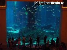 [P15] Acvariu Hotel Atlantis » foto by david
 - 
<span class="allrVoted glyphicon glyphicon-heart hidden" id="av37333"></span>
<a class="m-l-10 hidden" id="sv37333" onclick="voting_Foto_DelVot(,37333,4325)" role="button">șterge vot <span class="glyphicon glyphicon-remove"></span></a>
<a id="v937333" class=" c-red"  onclick="voting_Foto_SetVot(37333)" role="button"><span class="glyphicon glyphicon-heart-empty"></span> <b>LIKE</b> = Votează poza</a> <img class="hidden"  id="f37333W9" src="/imagini/loader.gif" border="0" /><span class="AjErrMes hidden" id="e37333ErM"></span>