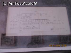 [P23] Arborele genealogic.  » foto by elviramvio
 - 
<span class="allrVoted glyphicon glyphicon-heart hidden" id="av817614"></span>
<a class="m-l-10 hidden" id="sv817614" onclick="voting_Foto_DelVot(,817614,4329)" role="button">șterge vot <span class="glyphicon glyphicon-remove"></span></a>
<a id="v9817614" class=" c-red"  onclick="voting_Foto_SetVot(817614)" role="button"><span class="glyphicon glyphicon-heart-empty"></span> <b>LIKE</b> = Votează poza</a> <img class="hidden"  id="f817614W9" src="/imagini/loader.gif" border="0" /><span class="AjErrMes hidden" id="e817614ErM"></span>