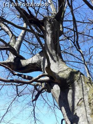 [P22] Litere spre cer » foto by Daniela H
 - 
<span class="allrVoted glyphicon glyphicon-heart hidden" id="av1357363"></span>
<a class="m-l-10 hidden" id="sv1357363" onclick="voting_Foto_DelVot(,1357363,4346)" role="button">șterge vot <span class="glyphicon glyphicon-remove"></span></a>
<a id="v91357363" class=" c-red"  onclick="voting_Foto_SetVot(1357363)" role="button"><span class="glyphicon glyphicon-heart-empty"></span> <b>LIKE</b> = Votează poza</a> <img class="hidden"  id="f1357363W9" src="/imagini/loader.gif" border="0" /><span class="AjErrMes hidden" id="e1357363ErM"></span>