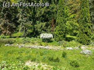 [P23] Mânăstirea de la Prislop, un loc minunat. » foto by maryka
 - 
<span class="allrVoted glyphicon glyphicon-heart hidden" id="av1299784"></span>
<a class="m-l-10 hidden" id="sv1299784" onclick="voting_Foto_DelVot(,1299784,4346)" role="button">șterge vot <span class="glyphicon glyphicon-remove"></span></a>
<a id="v91299784" class=" c-red"  onclick="voting_Foto_SetVot(1299784)" role="button"><span class="glyphicon glyphicon-heart-empty"></span> <b>LIKE</b> = Votează poza</a> <img class="hidden"  id="f1299784W9" src="/imagini/loader.gif" border="0" /><span class="AjErrMes hidden" id="e1299784ErM"></span>