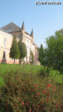 [P11] Castelul Kendefy - măr japonez înflorit, în grădina castelului » foto by Dragoș_MD
 - 
<span class="allrVoted glyphicon glyphicon-heart hidden" id="av66586"></span>
<a class="m-l-10 hidden" id="sv66586" onclick="voting_Foto_DelVot(,66586,4346)" role="button">șterge vot <span class="glyphicon glyphicon-remove"></span></a>
<a id="v966586" class=" c-red"  onclick="voting_Foto_SetVot(66586)" role="button"><span class="glyphicon glyphicon-heart-empty"></span> <b>LIKE</b> = Votează poza</a> <img class="hidden"  id="f66586W9" src="/imagini/loader.gif" border="0" /><span class="AjErrMes hidden" id="e66586ErM"></span>