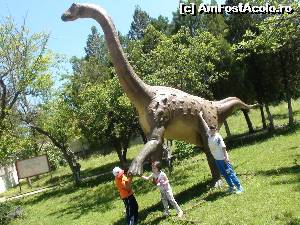 [P26] Denisa, Emi, Rares si dinozaurul » foto by Dan&Ema
 - 
<span class="allrVoted glyphicon glyphicon-heart hidden" id="av626839"></span>
<a class="m-l-10 hidden" id="sv626839" onclick="voting_Foto_DelVot(,626839,4346)" role="button">șterge vot <span class="glyphicon glyphicon-remove"></span></a>
<a id="v9626839" class=" c-red"  onclick="voting_Foto_SetVot(626839)" role="button"><span class="glyphicon glyphicon-heart-empty"></span> <b>LIKE</b> = Votează poza</a> <img class="hidden"  id="f626839W9" src="/imagini/loader.gif" border="0" /><span class="AjErrMes hidden" id="e626839ErM"></span>