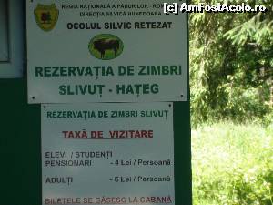 [P33] Am ajuns si la rezervatia de zimbri de la hateg » foto by Dan&Ema
 - 
<span class="allrVoted glyphicon glyphicon-heart hidden" id="av626862"></span>
<a class="m-l-10 hidden" id="sv626862" onclick="voting_Foto_DelVot(,626862,4346)" role="button">șterge vot <span class="glyphicon glyphicon-remove"></span></a>
<a id="v9626862" class=" c-red"  onclick="voting_Foto_SetVot(626862)" role="button"><span class="glyphicon glyphicon-heart-empty"></span> <b>LIKE</b> = Votează poza</a> <img class="hidden"  id="f626862W9" src="/imagini/loader.gif" border="0" /><span class="AjErrMes hidden" id="e626862ErM"></span>
