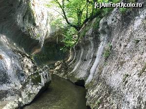 [P04] Peisaj superb din interiorul cheilor Banitei. Relieful este unul special.  » foto by ioana.190192
 - 
<span class="allrVoted glyphicon glyphicon-heart hidden" id="av652694"></span>
<a class="m-l-10 hidden" id="sv652694" onclick="voting_Foto_DelVot(,652694,4346)" role="button">șterge vot <span class="glyphicon glyphicon-remove"></span></a>
<a id="v9652694" class=" c-red"  onclick="voting_Foto_SetVot(652694)" role="button"><span class="glyphicon glyphicon-heart-empty"></span> <b>LIKE</b> = Votează poza</a> <img class="hidden"  id="f652694W9" src="/imagini/loader.gif" border="0" /><span class="AjErrMes hidden" id="e652694ErM"></span>