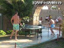 [P09] Cautam mingea ping pong » foto by david
 - 
<span class="allrVoted glyphicon glyphicon-heart hidden" id="av37412"></span>
<a class="m-l-10 hidden" id="sv37412" onclick="voting_Foto_DelVot(,37412,4349)" role="button">șterge vot <span class="glyphicon glyphicon-remove"></span></a>
<a id="v937412" class=" c-red"  onclick="voting_Foto_SetVot(37412)" role="button"><span class="glyphicon glyphicon-heart-empty"></span> <b>LIKE</b> = Votează poza</a> <img class="hidden"  id="f37412W9" src="/imagini/loader.gif" border="0" /><span class="AjErrMes hidden" id="e37412ErM"></span>