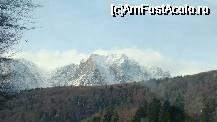 [P03]  -- <small>// FĂRĂ DESCRIERE</small> » foto by gabilove*
 - 
<span class="allrVoted glyphicon glyphicon-heart hidden" id="av37424"></span>
<a class="m-l-10 hidden" id="sv37424" onclick="voting_Foto_DelVot(,37424,4353)" role="button">șterge vot <span class="glyphicon glyphicon-remove"></span></a>
<a id="v937424" class=" c-red"  onclick="voting_Foto_SetVot(37424)" role="button"><span class="glyphicon glyphicon-heart-empty"></span> <b>LIKE</b> = Votează poza</a> <img class="hidden"  id="f37424W9" src="/imagini/loader.gif" border="0" /><span class="AjErrMes hidden" id="e37424ErM"></span>