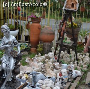 [P01] Încă nu ştiam ce ne aşteaptă... căutam pitici...  » foto by kelyboy
 - 
<span class="allrVoted glyphicon glyphicon-heart hidden" id="av802453"></span>
<a class="m-l-10 hidden" id="sv802453" onclick="voting_Foto_DelVot(,802453,4357)" role="button">șterge vot <span class="glyphicon glyphicon-remove"></span></a>
<a id="v9802453" class=" c-red"  onclick="voting_Foto_SetVot(802453)" role="button"><span class="glyphicon glyphicon-heart-empty"></span> <b>LIKE</b> = Votează poza</a> <img class="hidden"  id="f802453W9" src="/imagini/loader.gif" border="0" /><span class="AjErrMes hidden" id="e802453ErM"></span>