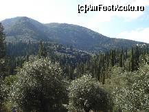 [P18] Corfu vegetatie montana langa Agios Gordios » foto by ionescunic
 - 
<span class="allrVoted glyphicon glyphicon-heart hidden" id="av57452"></span>
<a class="m-l-10 hidden" id="sv57452" onclick="voting_Foto_DelVot(,57452,4364)" role="button">șterge vot <span class="glyphicon glyphicon-remove"></span></a>
<a id="v957452" class=" c-red"  onclick="voting_Foto_SetVot(57452)" role="button"><span class="glyphicon glyphicon-heart-empty"></span> <b>LIKE</b> = Votează poza</a> <img class="hidden"  id="f57452W9" src="/imagini/loader.gif" border="0" /><span class="AjErrMes hidden" id="e57452ErM"></span>