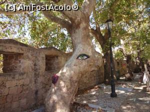 [P48] Rodos old town.  » foto by maryka
 - 
<span class="allrVoted glyphicon glyphicon-heart hidden" id="av883339"></span>
<a class="m-l-10 hidden" id="sv883339" onclick="voting_Foto_DelVot(,883339,4364)" role="button">șterge vot <span class="glyphicon glyphicon-remove"></span></a>
<a id="v9883339" class=" c-red"  onclick="voting_Foto_SetVot(883339)" role="button"><span class="glyphicon glyphicon-heart-empty"></span> <b>LIKE</b> = Votează poza</a> <img class="hidden"  id="f883339W9" src="/imagini/loader.gif" border="0" /><span class="AjErrMes hidden" id="e883339ErM"></span>