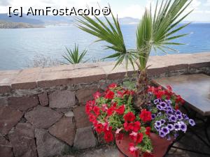 [P13] Molyvos, 2018, capitala turistică a insulei Lesvos.  » foto by maryka
 - 
<span class="allrVoted glyphicon glyphicon-heart hidden" id="av1061029"></span>
<a class="m-l-10 hidden" id="sv1061029" onclick="voting_Foto_DelVot(,1061029,4364)" role="button">șterge vot <span class="glyphicon glyphicon-remove"></span></a>
<a id="v91061029" class=" c-red"  onclick="voting_Foto_SetVot(1061029)" role="button"><span class="glyphicon glyphicon-heart-empty"></span> <b>LIKE</b> = Votează poza</a> <img class="hidden"  id="f1061029W9" src="/imagini/loader.gif" border="0" /><span class="AjErrMes hidden" id="e1061029ErM"></span>