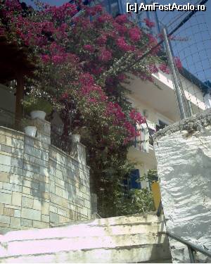 [P04] Skiathos » foto by zuftim
 - 
<span class="allrVoted glyphicon glyphicon-heart hidden" id="av543254"></span>
<a class="m-l-10 hidden" id="sv543254" onclick="voting_Foto_DelVot(,543254,4364)" role="button">șterge vot <span class="glyphicon glyphicon-remove"></span></a>
<a id="v9543254" class=" c-red"  onclick="voting_Foto_SetVot(543254)" role="button"><span class="glyphicon glyphicon-heart-empty"></span> <b>LIKE</b> = Votează poza</a> <img class="hidden"  id="f543254W9" src="/imagini/loader.gif" border="0" /><span class="AjErrMes hidden" id="e543254ErM"></span>