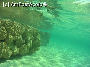 [P16] Snorkeling - in zona plajei de relaxare » foto by elenaadina
 - 
<span class="allrVoted glyphicon glyphicon-heart hidden" id="av1324134"></span>
<a class="m-l-10 hidden" id="sv1324134" onclick="voting_Foto_DelVot(,1324134,4365)" role="button">șterge vot <span class="glyphicon glyphicon-remove"></span></a>
<a id="v91324134" class=" c-red"  onclick="voting_Foto_SetVot(1324134)" role="button"><span class="glyphicon glyphicon-heart-empty"></span> <b>LIKE</b> = Votează poza</a> <img class="hidden"  id="f1324134W9" src="/imagini/loader.gif" border="0" /><span class="AjErrMes hidden" id="e1324134ErM"></span>