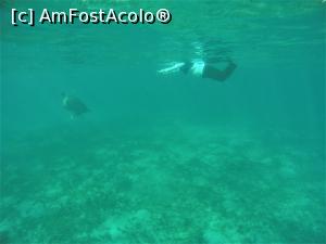 [P27] Snorkeling - broasca testoasa, eu la suprafata apei » foto by elenaadina
 - 
<span class="allrVoted glyphicon glyphicon-heart hidden" id="av1324145"></span>
<a class="m-l-10 hidden" id="sv1324145" onclick="voting_Foto_DelVot(,1324145,4365)" role="button">șterge vot <span class="glyphicon glyphicon-remove"></span></a>
<a id="v91324145" class=" c-red"  onclick="voting_Foto_SetVot(1324145)" role="button"><span class="glyphicon glyphicon-heart-empty"></span> <b>LIKE</b> = Votează poza</a> <img class="hidden"  id="f1324145W9" src="/imagini/loader.gif" border="0" /><span class="AjErrMes hidden" id="e1324145ErM"></span>