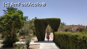 [P47] Three Corners Fayrouz Plaza » foto by elenaadina
 - 
<span class="allrVoted glyphicon glyphicon-heart hidden" id="av1324165"></span>
<a class="m-l-10 hidden" id="sv1324165" onclick="voting_Foto_DelVot(,1324165,4365)" role="button">șterge vot <span class="glyphicon glyphicon-remove"></span></a>
<a id="v91324165" class=" c-red"  onclick="voting_Foto_SetVot(1324165)" role="button"><span class="glyphicon glyphicon-heart-empty"></span> <b>LIKE</b> = Votează poza</a> <img class="hidden"  id="f1324165W9" src="/imagini/loader.gif" border="0" /><span class="AjErrMes hidden" id="e1324165ErM"></span>