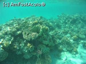 [P07] Snorkeling - in zona plajei de relaxare » foto by elenaadina
 - 
<span class="allrVoted glyphicon glyphicon-heart hidden" id="av1324125"></span>
<a class="m-l-10 hidden" id="sv1324125" onclick="voting_Foto_DelVot(,1324125,4365)" role="button">șterge vot <span class="glyphicon glyphicon-remove"></span></a>
<a id="v91324125" class=" c-red"  onclick="voting_Foto_SetVot(1324125)" role="button"><span class="glyphicon glyphicon-heart-empty"></span> <b>LIKE</b> = Votează poza</a> <img class="hidden"  id="f1324125W9" src="/imagini/loader.gif" border="0" /><span class="AjErrMes hidden" id="e1324125ErM"></span>