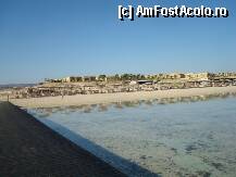 [P05] Vedere de pe ponton - dupa cum se vede recifurile de corali ajung pana la mal, apa foarte curata, transparenta » foto by Pami*
 - 
<span class="allrVoted glyphicon glyphicon-heart hidden" id="av37735"></span>
<a class="m-l-10 hidden" id="sv37735" onclick="voting_Foto_DelVot(,37735,4365)" role="button">șterge vot <span class="glyphicon glyphicon-remove"></span></a>
<a id="v937735" class=" c-red"  onclick="voting_Foto_SetVot(37735)" role="button"><span class="glyphicon glyphicon-heart-empty"></span> <b>LIKE</b> = Votează poza</a> <img class="hidden"  id="f37735W9" src="/imagini/loader.gif" border="0" /><span class="AjErrMes hidden" id="e37735ErM"></span>