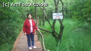 [P19] Spre deparcaderul din rezervaţia Ropotamo aflată la 13 km de staţiunea Duni, Bulgaria.  » foto by traian.leuca †
 - 
<span class="allrVoted glyphicon glyphicon-heart hidden" id="av744948"></span>
<a class="m-l-10 hidden" id="sv744948" onclick="voting_Foto_DelVot(,744948,4367)" role="button">șterge vot <span class="glyphicon glyphicon-remove"></span></a>
<a id="v9744948" class=" c-red"  onclick="voting_Foto_SetVot(744948)" role="button"><span class="glyphicon glyphicon-heart-empty"></span> <b>LIKE</b> = Votează poza</a> <img class="hidden"  id="f744948W9" src="/imagini/loader.gif" border="0" /><span class="AjErrMes hidden" id="e744948ErM"></span>