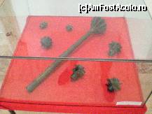 [P06] Expozitia militara medievala - asta cred ca este un buzdugan. » foto by presario
 - 
<span class="allrVoted glyphicon glyphicon-heart hidden" id="av137429"></span>
<a class="m-l-10 hidden" id="sv137429" onclick="voting_Foto_DelVot(,137429,4370)" role="button">șterge vot <span class="glyphicon glyphicon-remove"></span></a>
<a id="v9137429" class=" c-red"  onclick="voting_Foto_SetVot(137429)" role="button"><span class="glyphicon glyphicon-heart-empty"></span> <b>LIKE</b> = Votează poza</a> <img class="hidden"  id="f137429W9" src="/imagini/loader.gif" border="0" /><span class="AjErrMes hidden" id="e137429ErM"></span>