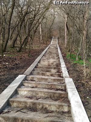 [P02] Din parcul cetatii, niste scari va poarta spre o carare ce va va conduce pana la cetate » foto by dorgo
 - 
<span class="allrVoted glyphicon glyphicon-heart hidden" id="av617504"></span>
<a class="m-l-10 hidden" id="sv617504" onclick="voting_Foto_DelVot(,617504,4370)" role="button">șterge vot <span class="glyphicon glyphicon-remove"></span></a>
<a id="v9617504" class=" c-red"  onclick="voting_Foto_SetVot(617504)" role="button"><span class="glyphicon glyphicon-heart-empty"></span> <b>LIKE</b> = Votează poza</a> <img class="hidden"  id="f617504W9" src="/imagini/loader.gif" border="0" /><span class="AjErrMes hidden" id="e617504ErM"></span>