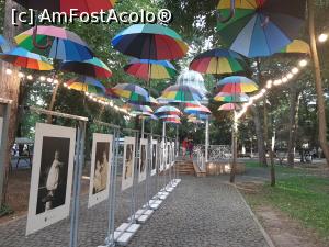 [P24] Expoziția <i>Copilăria Regelui</i> » foto by adso
 - 
<span class="allrVoted glyphicon glyphicon-heart hidden" id="av1249761"></span>
<a class="m-l-10 hidden" id="sv1249761" onclick="voting_Foto_DelVot(,1249761,4370)" role="button">șterge vot <span class="glyphicon glyphicon-remove"></span></a>
<a id="v91249761" class=" c-red"  onclick="voting_Foto_SetVot(1249761)" role="button"><span class="glyphicon glyphicon-heart-empty"></span> <b>LIKE</b> = Votează poza</a> <img class="hidden"  id="f1249761W9" src="/imagini/loader.gif" border="0" /><span class="AjErrMes hidden" id="e1249761ErM"></span>