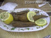 [P26] Guvizi foarte buni, restaurant pescaresc Mangalia » foto by krondia*
 - 
<span class="allrVoted glyphicon glyphicon-heart hidden" id="av93669"></span>
<a class="m-l-10 hidden" id="sv93669" onclick="voting_Foto_DelVot(,93669,4397)" role="button">șterge vot <span class="glyphicon glyphicon-remove"></span></a>
<a id="v993669" class=" c-red"  onclick="voting_Foto_SetVot(93669)" role="button"><span class="glyphicon glyphicon-heart-empty"></span> <b>LIKE</b> = Votează poza</a> <img class="hidden"  id="f93669W9" src="/imagini/loader.gif" border="0" /><span class="AjErrMes hidden" id="e93669ErM"></span>