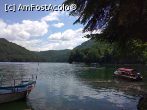 [P32] Lacul Vidraru » foto by Mioritik
 - 
<span class="allrVoted glyphicon glyphicon-heart hidden" id="av1233505"></span>
<a class="m-l-10 hidden" id="sv1233505" onclick="voting_Foto_DelVot(,1233505,4399)" role="button">șterge vot <span class="glyphicon glyphicon-remove"></span></a>
<a id="v91233505" class=" c-red"  onclick="voting_Foto_SetVot(1233505)" role="button"><span class="glyphicon glyphicon-heart-empty"></span> <b>LIKE</b> = Votează poza</a> <img class="hidden"  id="f1233505W9" src="/imagini/loader.gif" border="0" /><span class="AjErrMes hidden" id="e1233505ErM"></span>