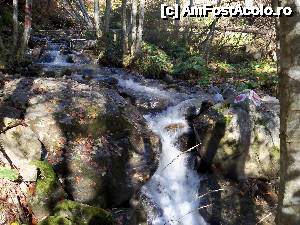 [P12] ..... si sursurul apei » foto by Lumis66
 - 
<span class="allrVoted glyphicon glyphicon-heart hidden" id="av482695"></span>
<a class="m-l-10 hidden" id="sv482695" onclick="voting_Foto_DelVot(,482695,4399)" role="button">șterge vot <span class="glyphicon glyphicon-remove"></span></a>
<a id="v9482695" class=" c-red"  onclick="voting_Foto_SetVot(482695)" role="button"><span class="glyphicon glyphicon-heart-empty"></span> <b>LIKE</b> = Votează poza</a> <img class="hidden"  id="f482695W9" src="/imagini/loader.gif" border="0" /><span class="AjErrMes hidden" id="e482695ErM"></span>
