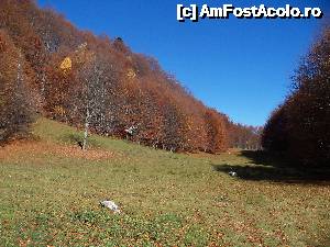 [P15] In poiana asta am stat la povesti » foto by Lumis66
 - 
<span class="allrVoted glyphicon glyphicon-heart hidden" id="av482698"></span>
<a class="m-l-10 hidden" id="sv482698" onclick="voting_Foto_DelVot(,482698,4399)" role="button">șterge vot <span class="glyphicon glyphicon-remove"></span></a>
<a id="v9482698" class=" c-red"  onclick="voting_Foto_SetVot(482698)" role="button"><span class="glyphicon glyphicon-heart-empty"></span> <b>LIKE</b> = Votează poza</a> <img class="hidden"  id="f482698W9" src="/imagini/loader.gif" border="0" /><span class="AjErrMes hidden" id="e482698ErM"></span>