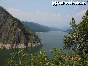 [P13] Barajul Vidraru - Vara, frumusețea naturii la Vidraru.  » foto by iulianic
 - 
<span class="allrVoted glyphicon glyphicon-heart hidden" id="av696329"></span>
<a class="m-l-10 hidden" id="sv696329" onclick="voting_Foto_DelVot(,696329,4399)" role="button">șterge vot <span class="glyphicon glyphicon-remove"></span></a>
<a id="v9696329" class=" c-red"  onclick="voting_Foto_SetVot(696329)" role="button"><span class="glyphicon glyphicon-heart-empty"></span> <b>LIKE</b> = Votează poza</a> <img class="hidden"  id="f696329W9" src="/imagini/loader.gif" border="0" /><span class="AjErrMes hidden" id="e696329ErM"></span>