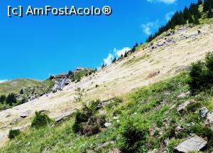 [P20] Transfagarasanul spre Lacul și barajul Vidraru » foto by Dana2008
 - 
<span class="allrVoted glyphicon glyphicon-heart hidden" id="av1110633"></span>
<a class="m-l-10 hidden" id="sv1110633" onclick="voting_Foto_DelVot(,1110633,4399)" role="button">șterge vot <span class="glyphicon glyphicon-remove"></span></a>
<a id="v91110633" class=" c-red"  onclick="voting_Foto_SetVot(1110633)" role="button"><span class="glyphicon glyphicon-heart-empty"></span> <b>LIKE</b> = Votează poza</a> <img class="hidden"  id="f1110633W9" src="/imagini/loader.gif" border="0" /><span class="AjErrMes hidden" id="e1110633ErM"></span>