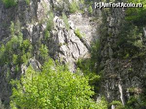 [P06] Vedere a soselei din locul unde am facut pauza, langa conducta de aductiune.  » foto by liviu49
 - 
<span class="allrVoted glyphicon glyphicon-heart hidden" id="av640508"></span>
<a class="m-l-10 hidden" id="sv640508" onclick="voting_Foto_DelVot(,640508,4399)" role="button">șterge vot <span class="glyphicon glyphicon-remove"></span></a>
<a id="v9640508" class=" c-red"  onclick="voting_Foto_SetVot(640508)" role="button"><span class="glyphicon glyphicon-heart-empty"></span> <b>LIKE</b> = Votează poza</a> <img class="hidden"  id="f640508W9" src="/imagini/loader.gif" border="0" /><span class="AjErrMes hidden" id="e640508ErM"></span>