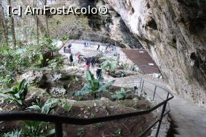 [P26] Mallorca, Cuevas dels Hams (Peștera cârligelor), Grădina botanică » foto by mprofeanu
 - 
<span class="allrVoted glyphicon glyphicon-heart hidden" id="av1290263"></span>
<a class="m-l-10 hidden" id="sv1290263" onclick="voting_Foto_DelVot(,1290263,4407)" role="button">șterge vot <span class="glyphicon glyphicon-remove"></span></a>
<a id="v91290263" class=" c-red"  onclick="voting_Foto_SetVot(1290263)" role="button"><span class="glyphicon glyphicon-heart-empty"></span> <b>LIKE</b> = Votează poza</a> <img class="hidden"  id="f1290263W9" src="/imagini/loader.gif" border="0" /><span class="AjErrMes hidden" id="e1290263ErM"></span>