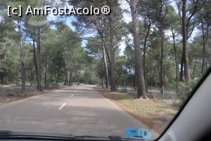 [P46] Mallorca, Mergem spre Mirador Es Colomer, mi-au plăcut mult enormii pini din toate locurile pe unde am umblat... » foto by mprofeanu
 - 
<span class="allrVoted glyphicon glyphicon-heart hidden" id="av1290283"></span>
<a class="m-l-10 hidden" id="sv1290283" onclick="voting_Foto_DelVot(,1290283,4407)" role="button">șterge vot <span class="glyphicon glyphicon-remove"></span></a>
<a id="v91290283" class=" c-red"  onclick="voting_Foto_SetVot(1290283)" role="button"><span class="glyphicon glyphicon-heart-empty"></span> <b>LIKE</b> = Votează poza</a> <img class="hidden"  id="f1290283W9" src="/imagini/loader.gif" border="0" /><span class="AjErrMes hidden" id="e1290283ErM"></span>