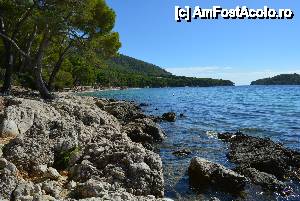 [P44] Formentor » foto by marmin
 - 
<span class="allrVoted glyphicon glyphicon-heart hidden" id="av475913"></span>
<a class="m-l-10 hidden" id="sv475913" onclick="voting_Foto_DelVot(,475913,4407)" role="button">șterge vot <span class="glyphicon glyphicon-remove"></span></a>
<a id="v9475913" class=" c-red"  onclick="voting_Foto_SetVot(475913)" role="button"><span class="glyphicon glyphicon-heart-empty"></span> <b>LIKE</b> = Votează poza</a> <img class="hidden"  id="f475913W9" src="/imagini/loader.gif" border="0" /><span class="AjErrMes hidden" id="e475913ErM"></span>