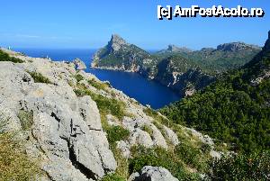 [P47] Formentor » foto by marmin
 - 
<span class="allrVoted glyphicon glyphicon-heart hidden" id="av475916"></span>
<a class="m-l-10 hidden" id="sv475916" onclick="voting_Foto_DelVot(,475916,4407)" role="button">șterge vot <span class="glyphicon glyphicon-remove"></span></a>
<a id="v9475916" class=" c-red"  onclick="voting_Foto_SetVot(475916)" role="button"><span class="glyphicon glyphicon-heart-empty"></span> <b>LIKE</b> = Votează poza</a> <img class="hidden"  id="f475916W9" src="/imagini/loader.gif" border="0" /><span class="AjErrMes hidden" id="e475916ErM"></span>