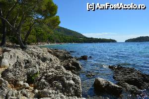 [P66] Formentor » foto by marmin
 - 
<span class="allrVoted glyphicon glyphicon-heart hidden" id="av475935"></span>
<a class="m-l-10 hidden" id="sv475935" onclick="voting_Foto_DelVot(,475935,4407)" role="button">șterge vot <span class="glyphicon glyphicon-remove"></span></a>
<a id="v9475935" class=" c-red"  onclick="voting_Foto_SetVot(475935)" role="button"><span class="glyphicon glyphicon-heart-empty"></span> <b>LIKE</b> = Votează poza</a> <img class="hidden"  id="f475935W9" src="/imagini/loader.gif" border="0" /><span class="AjErrMes hidden" id="e475935ErM"></span>