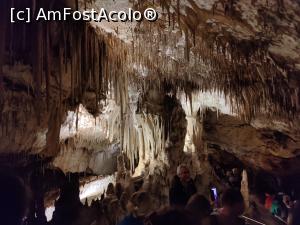 [P13] Cuevas del Drac » foto by crismis
 - 
<span class="allrVoted glyphicon glyphicon-heart hidden" id="av1374858"></span>
<a class="m-l-10 hidden" id="sv1374858" onclick="voting_Foto_DelVot(,1374858,4407)" role="button">șterge vot <span class="glyphicon glyphicon-remove"></span></a>
<a id="v91374858" class=" c-red"  onclick="voting_Foto_SetVot(1374858)" role="button"><span class="glyphicon glyphicon-heart-empty"></span> <b>LIKE</b> = Votează poza</a> <img class="hidden"  id="f1374858W9" src="/imagini/loader.gif" border="0" /><span class="AjErrMes hidden" id="e1374858ErM"></span>