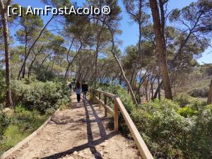 [P35] Parcul Național Mondrago » foto by crismis
 - 
<span class="allrVoted glyphicon glyphicon-heart hidden" id="av1374880"></span>
<a class="m-l-10 hidden" id="sv1374880" onclick="voting_Foto_DelVot(,1374880,4407)" role="button">șterge vot <span class="glyphicon glyphicon-remove"></span></a>
<a id="v91374880" class=" c-red"  onclick="voting_Foto_SetVot(1374880)" role="button"><span class="glyphicon glyphicon-heart-empty"></span> <b>LIKE</b> = Votează poza</a> <img class="hidden"  id="f1374880W9" src="/imagini/loader.gif" border="0" /><span class="AjErrMes hidden" id="e1374880ErM"></span>