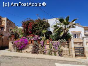 [P54] Cala Figuera » foto by crismis
 - 
<span class="allrVoted glyphicon glyphicon-heart hidden" id="av1374899"></span>
<a class="m-l-10 hidden" id="sv1374899" onclick="voting_Foto_DelVot(,1374899,4407)" role="button">șterge vot <span class="glyphicon glyphicon-remove"></span></a>
<a id="v91374899" class=" c-red"  onclick="voting_Foto_SetVot(1374899)" role="button"><span class="glyphicon glyphicon-heart-empty"></span> <b>LIKE</b> = Votează poza</a> <img class="hidden"  id="f1374899W9" src="/imagini/loader.gif" border="0" /><span class="AjErrMes hidden" id="e1374899ErM"></span>