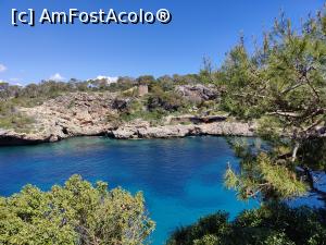 [P55] Cala Figuera » foto by crismis
 - 
<span class="allrVoted glyphicon glyphicon-heart hidden" id="av1374900"></span>
<a class="m-l-10 hidden" id="sv1374900" onclick="voting_Foto_DelVot(,1374900,4407)" role="button">șterge vot <span class="glyphicon glyphicon-remove"></span></a>
<a id="v91374900" class=" c-red"  onclick="voting_Foto_SetVot(1374900)" role="button"><span class="glyphicon glyphicon-heart-empty"></span> <b>LIKE</b> = Votează poza</a> <img class="hidden"  id="f1374900W9" src="/imagini/loader.gif" border="0" /><span class="AjErrMes hidden" id="e1374900ErM"></span>