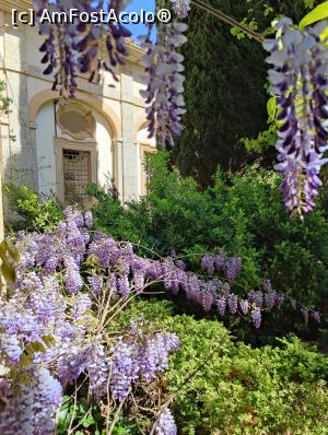 [P22] Mânăstirea Cartusiană Valldemossa » foto by crismis
 - 
<span class="allrVoted glyphicon glyphicon-heart hidden" id="av1381694"></span>
<a class="m-l-10 hidden" id="sv1381694" onclick="voting_Foto_DelVot(,1381694,4407)" role="button">șterge vot <span class="glyphicon glyphicon-remove"></span></a>
<a id="v91381694" class=" c-red"  onclick="voting_Foto_SetVot(1381694)" role="button"><span class="glyphicon glyphicon-heart-empty"></span> <b>LIKE</b> = Votează poza</a> <img class="hidden"  id="f1381694W9" src="/imagini/loader.gif" border="0" /><span class="AjErrMes hidden" id="e1381694ErM"></span>