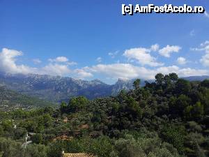 [P14] in drum spre Valldemosa » foto by 11simy
 - 
<span class="allrVoted glyphicon glyphicon-heart hidden" id="av473643"></span>
<a class="m-l-10 hidden" id="sv473643" onclick="voting_Foto_DelVot(,473643,4407)" role="button">șterge vot <span class="glyphicon glyphicon-remove"></span></a>
<a id="v9473643" class=" c-red"  onclick="voting_Foto_SetVot(473643)" role="button"><span class="glyphicon glyphicon-heart-empty"></span> <b>LIKE</b> = Votează poza</a> <img class="hidden"  id="f473643W9" src="/imagini/loader.gif" border="0" /><span class="AjErrMes hidden" id="e473643ErM"></span>