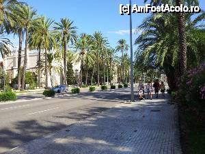 [P18] Palma de Mallorca » foto by 11simy
 - 
<span class="allrVoted glyphicon glyphicon-heart hidden" id="av473647"></span>
<a class="m-l-10 hidden" id="sv473647" onclick="voting_Foto_DelVot(,473647,4407)" role="button">șterge vot <span class="glyphicon glyphicon-remove"></span></a>
<a id="v9473647" class=" c-red"  onclick="voting_Foto_SetVot(473647)" role="button"><span class="glyphicon glyphicon-heart-empty"></span> <b>LIKE</b> = Votează poza</a> <img class="hidden"  id="f473647W9" src="/imagini/loader.gif" border="0" /><span class="AjErrMes hidden" id="e473647ErM"></span>