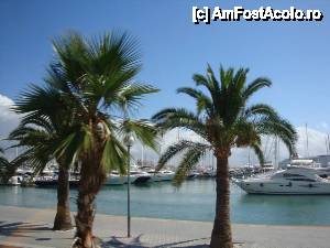 [P08] port Palma » foto by 11simy
 - 
<span class="allrVoted glyphicon glyphicon-heart hidden" id="av473637"></span>
<a class="m-l-10 hidden" id="sv473637" onclick="voting_Foto_DelVot(,473637,4407)" role="button">șterge vot <span class="glyphicon glyphicon-remove"></span></a>
<a id="v9473637" class=" c-red"  onclick="voting_Foto_SetVot(473637)" role="button"><span class="glyphicon glyphicon-heart-empty"></span> <b>LIKE</b> = Votează poza</a> <img class="hidden"  id="f473637W9" src="/imagini/loader.gif" border="0" /><span class="AjErrMes hidden" id="e473637ErM"></span>