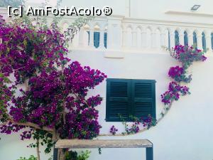 [P17] detaliu Porto Petro » foto by indiralisa_26
 - 
<span class="allrVoted glyphicon glyphicon-heart hidden" id="av1307913"></span>
<a class="m-l-10 hidden" id="sv1307913" onclick="voting_Foto_DelVot(,1307913,4407)" role="button">șterge vot <span class="glyphicon glyphicon-remove"></span></a>
<a id="v91307913" class=" c-red"  onclick="voting_Foto_SetVot(1307913)" role="button"><span class="glyphicon glyphicon-heart-empty"></span> <b>LIKE</b> = Votează poza</a> <img class="hidden"  id="f1307913W9" src="/imagini/loader.gif" border="0" /><span class="AjErrMes hidden" id="e1307913ErM"></span>