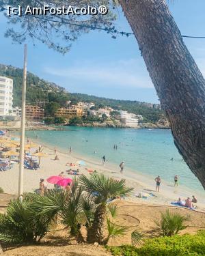 [P04] Sant Elm -potrivit  pentru cazare : are de toate : plaja, magazine, restaurante » foto by indiralisa_26
 - 
<span class="allrVoted glyphicon glyphicon-heart hidden" id="av1307900"></span>
<a class="m-l-10 hidden" id="sv1307900" onclick="voting_Foto_DelVot(,1307900,4407)" role="button">șterge vot <span class="glyphicon glyphicon-remove"></span></a>
<a id="v91307900" class=" c-red"  onclick="voting_Foto_SetVot(1307900)" role="button"><span class="glyphicon glyphicon-heart-empty"></span> <b>LIKE</b> = Votează poza</a> <img class="hidden"  id="f1307900W9" src="/imagini/loader.gif" border="0" /><span class="AjErrMes hidden" id="e1307900ErM"></span>