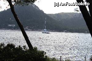 [P77] Hotel Barcello Formentor!  » foto by balasa violeta
 - 
<span class="allrVoted glyphicon glyphicon-heart hidden" id="av481645"></span>
<a class="m-l-10 hidden" id="sv481645" onclick="voting_Foto_DelVot(,481645,4407)" role="button">șterge vot <span class="glyphicon glyphicon-remove"></span></a>
<a id="v9481645" class=" c-red"  onclick="voting_Foto_SetVot(481645)" role="button"><span class="glyphicon glyphicon-heart-empty"></span> <b>LIKE</b> = Votează poza</a> <img class="hidden"  id="f481645W9" src="/imagini/loader.gif" border="0" /><span class="AjErrMes hidden" id="e481645ErM"></span>
